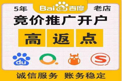 精准营销：百度推广平台的成功案例解析